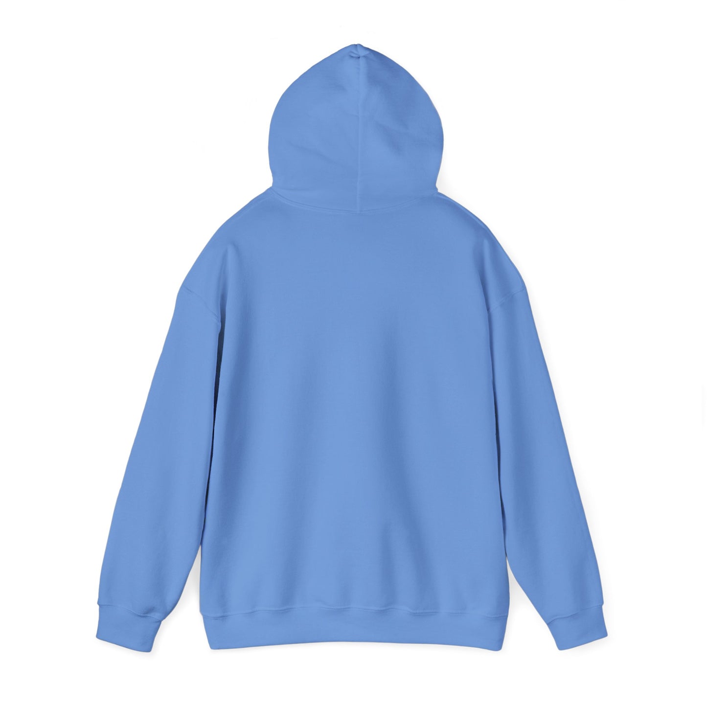 I BRING THE WEIRD Hoodie